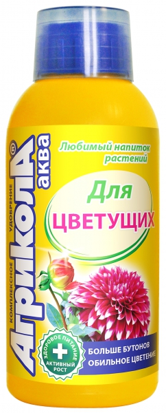 Изображение загружено