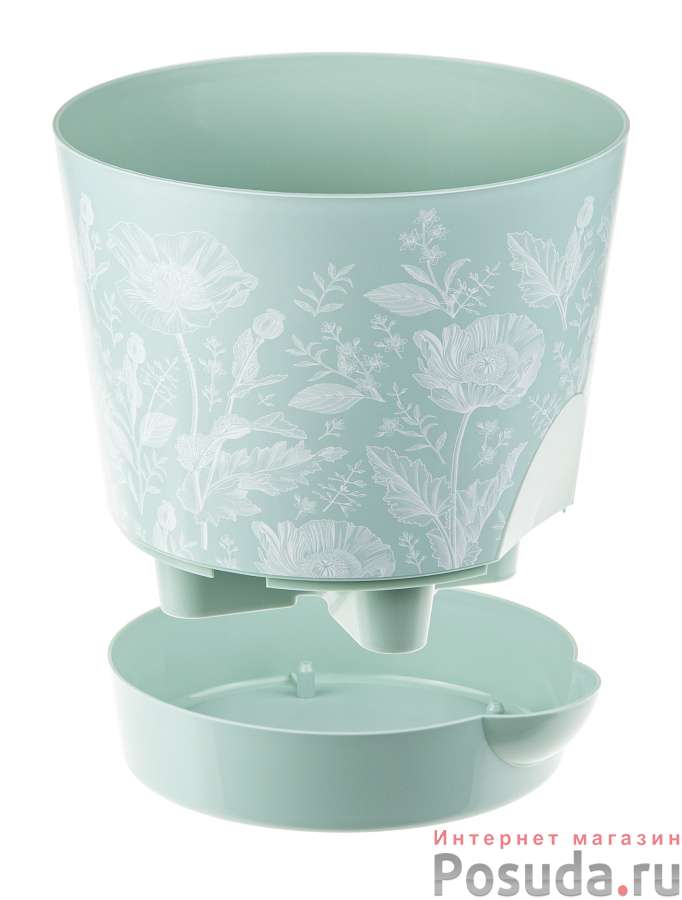 Изображение загружено