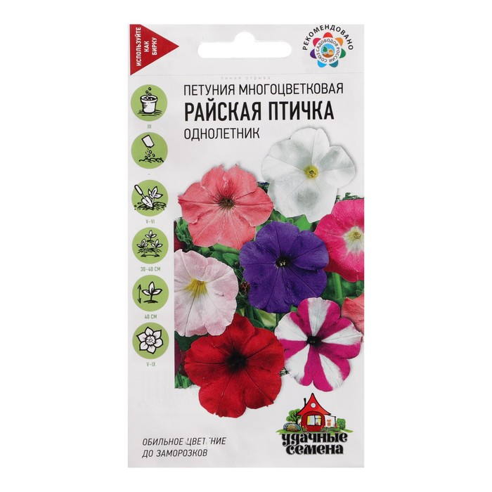 Изображение загружено