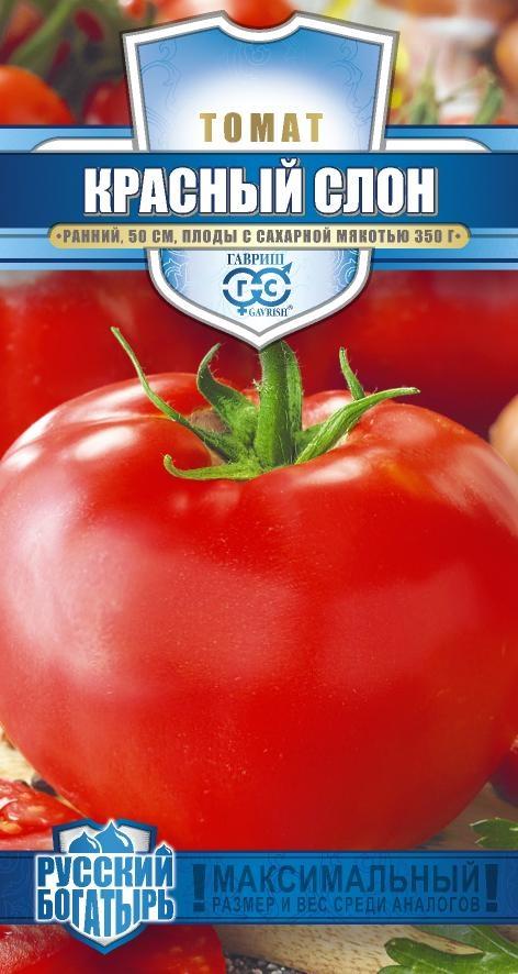 Изображение загружено