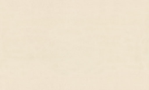 8091-02-раппорт