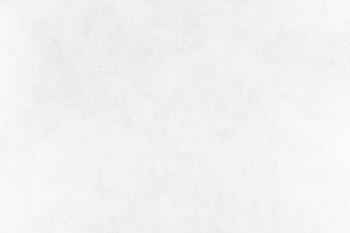 Обои флизелиновые "Копенгаген" фон св-серый 1,06 × 10 м. 