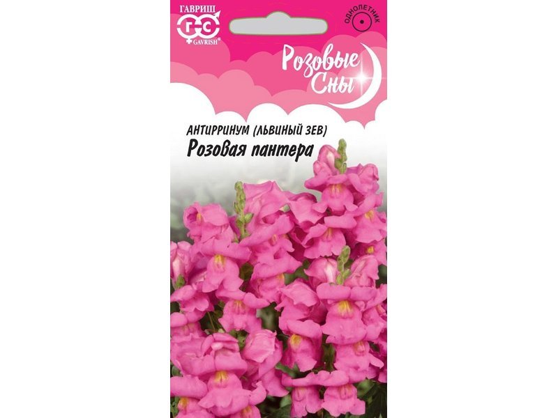 Изображение загружено