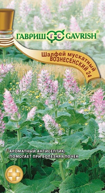 Изображение загружено