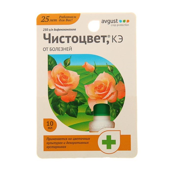 Изображение загружено