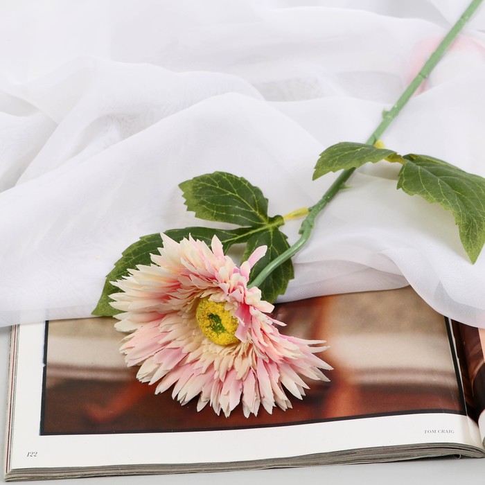 Изображение загружено