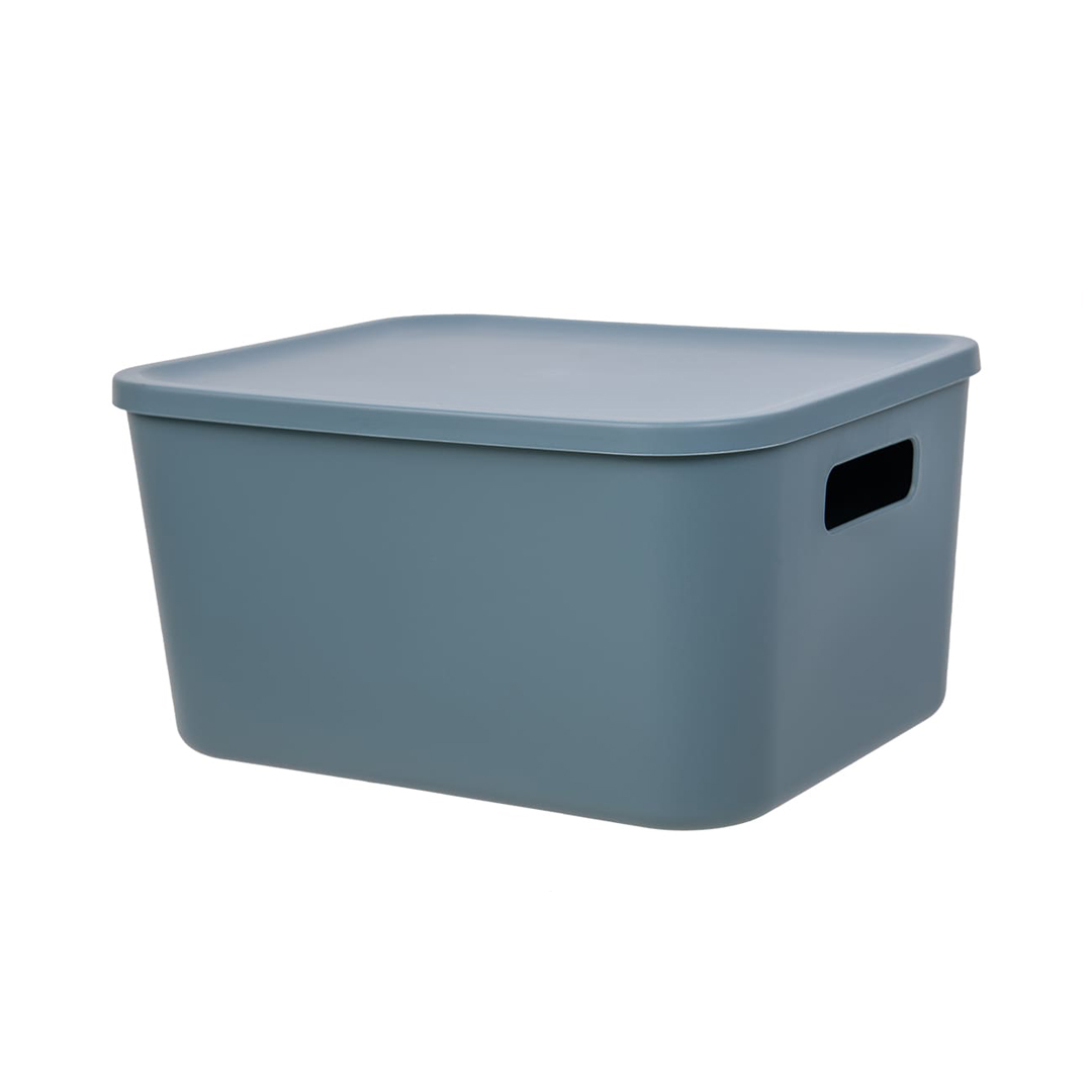 Fancy-hh100-S Корзина пластиковая для хранения Оптима, Д285 Ш220 В145, синий