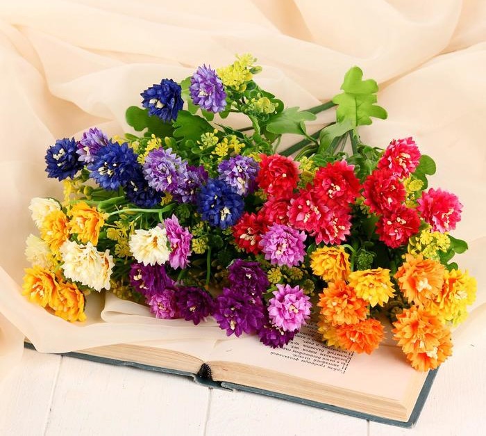 Изображение загружено