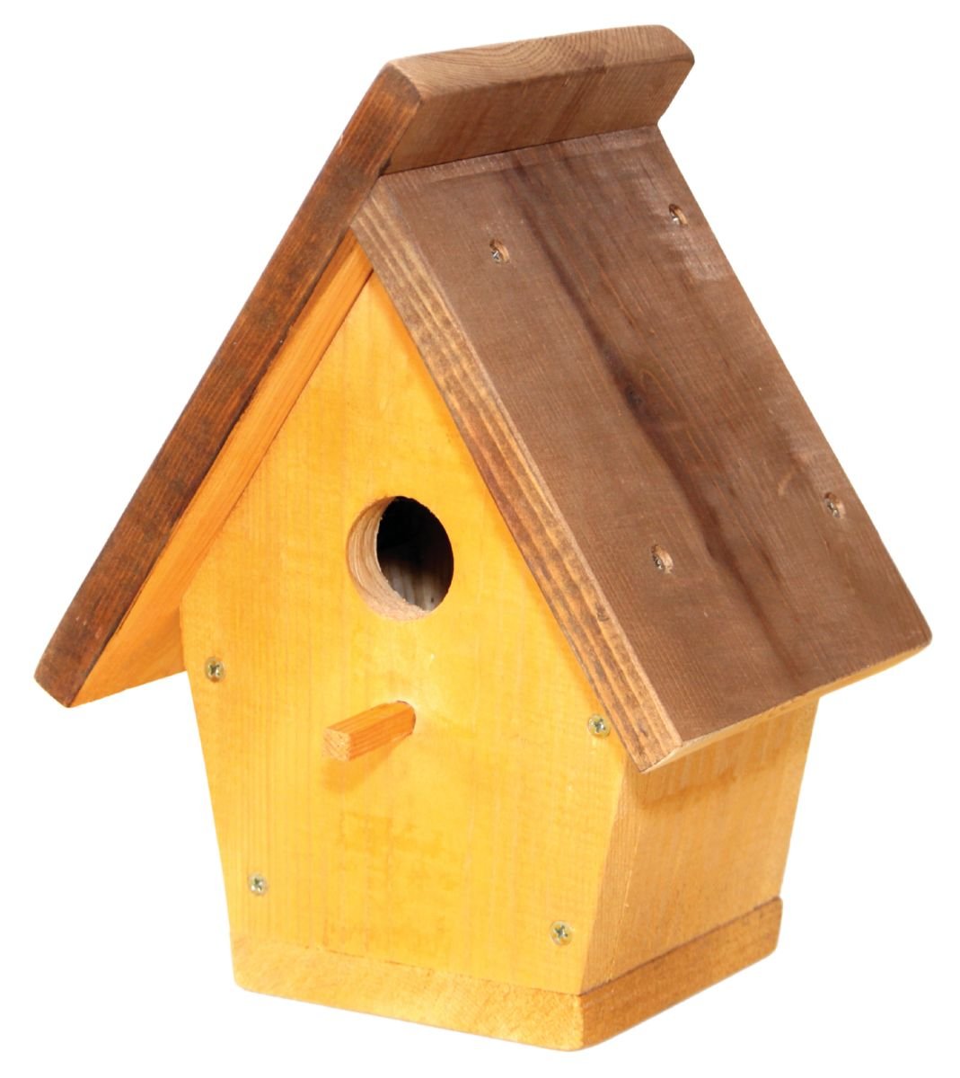 Изображение загружено