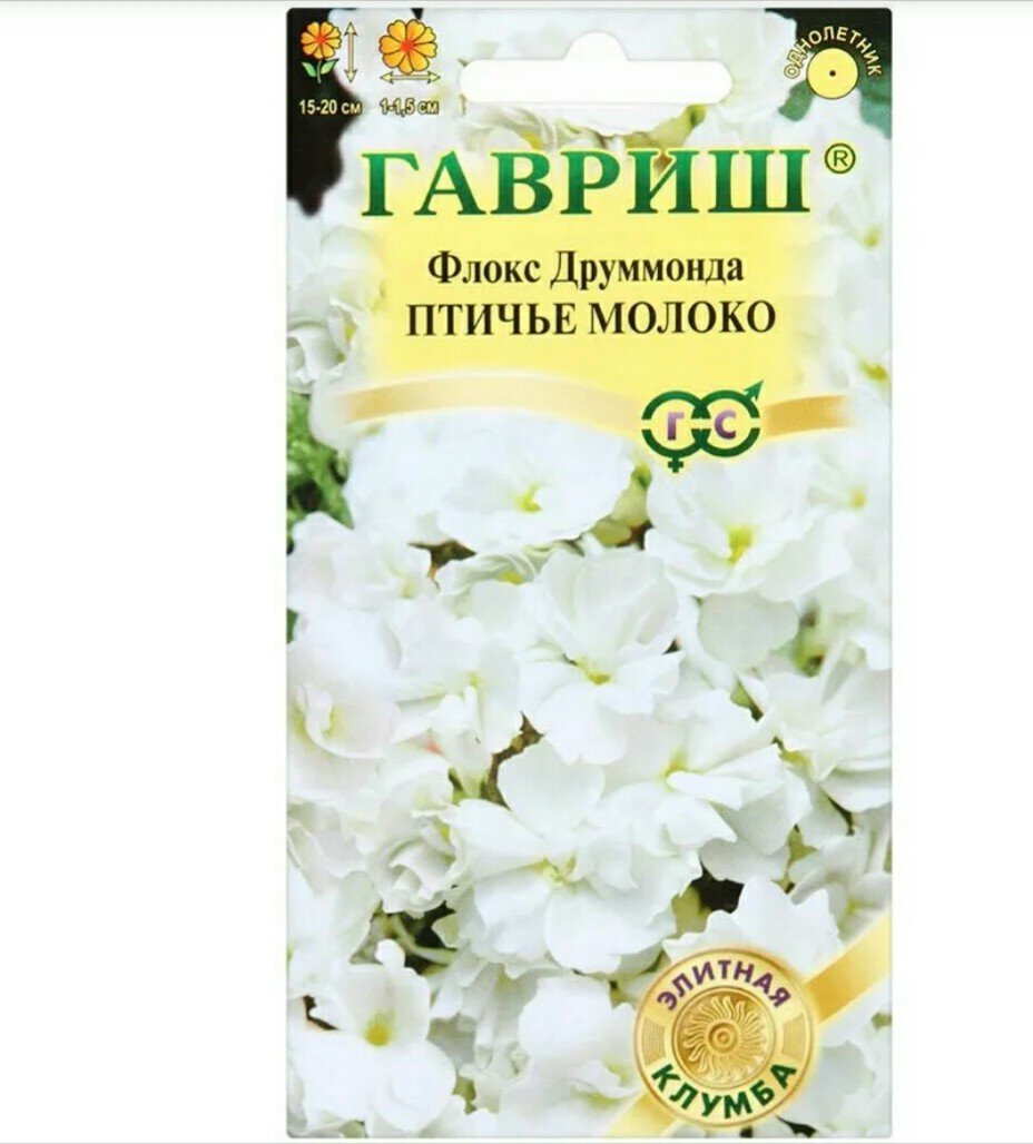 Изображение загружено