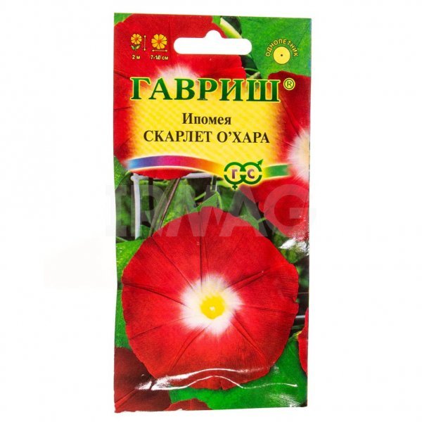 Изображение загружено