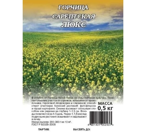 Изображение загружено