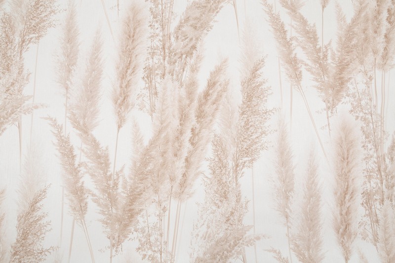 VV72086-21 Обои флизелиновые Cortaderia мотив светло-бежевый 1,06х10,05м