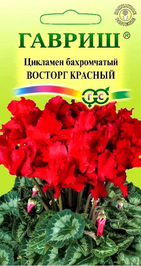 Изображение загружено