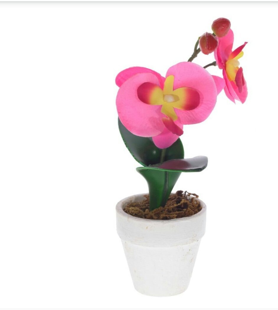 Изображение загружено