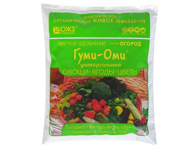 Изображение загружено