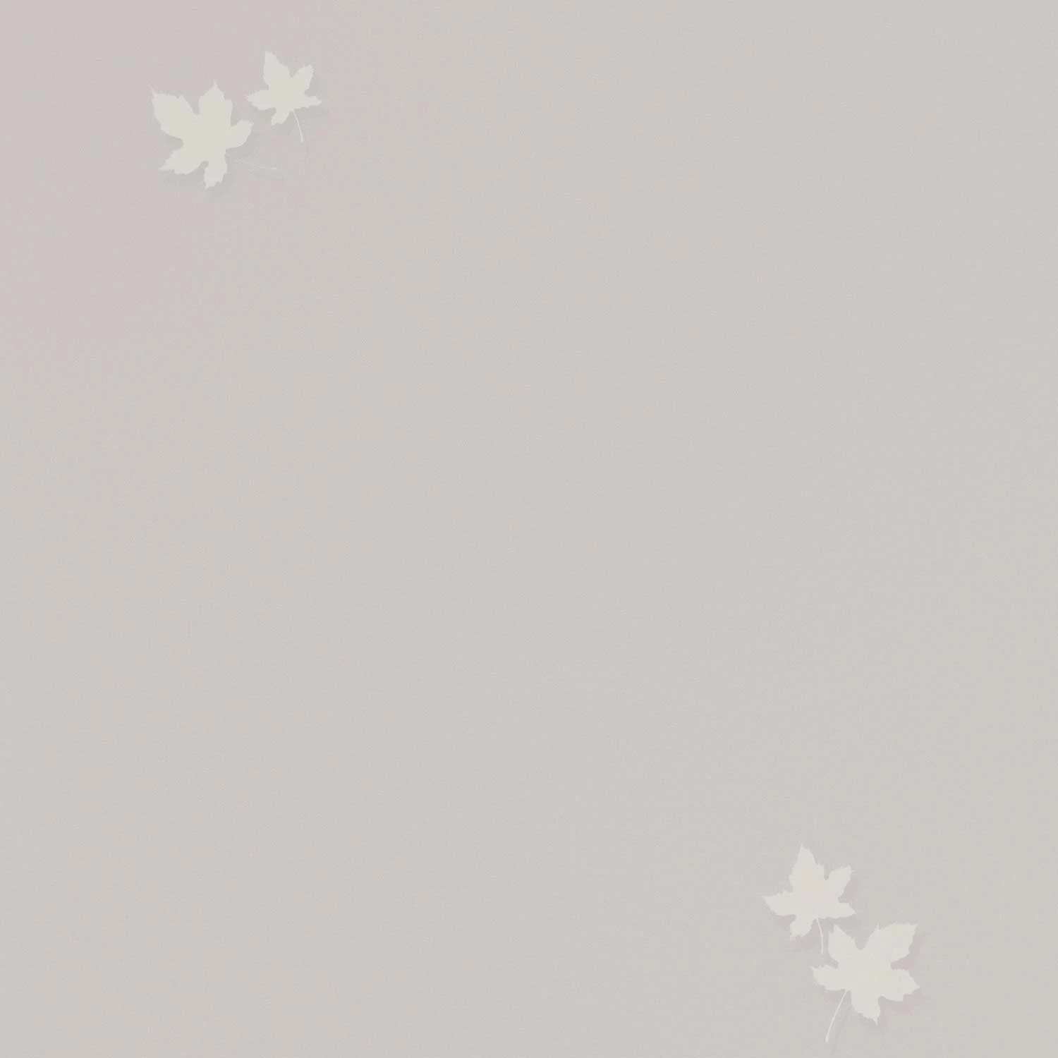 54384-6 Обои флизелиновые Spectrum PRO, мотив теплый серый 1,06х10м