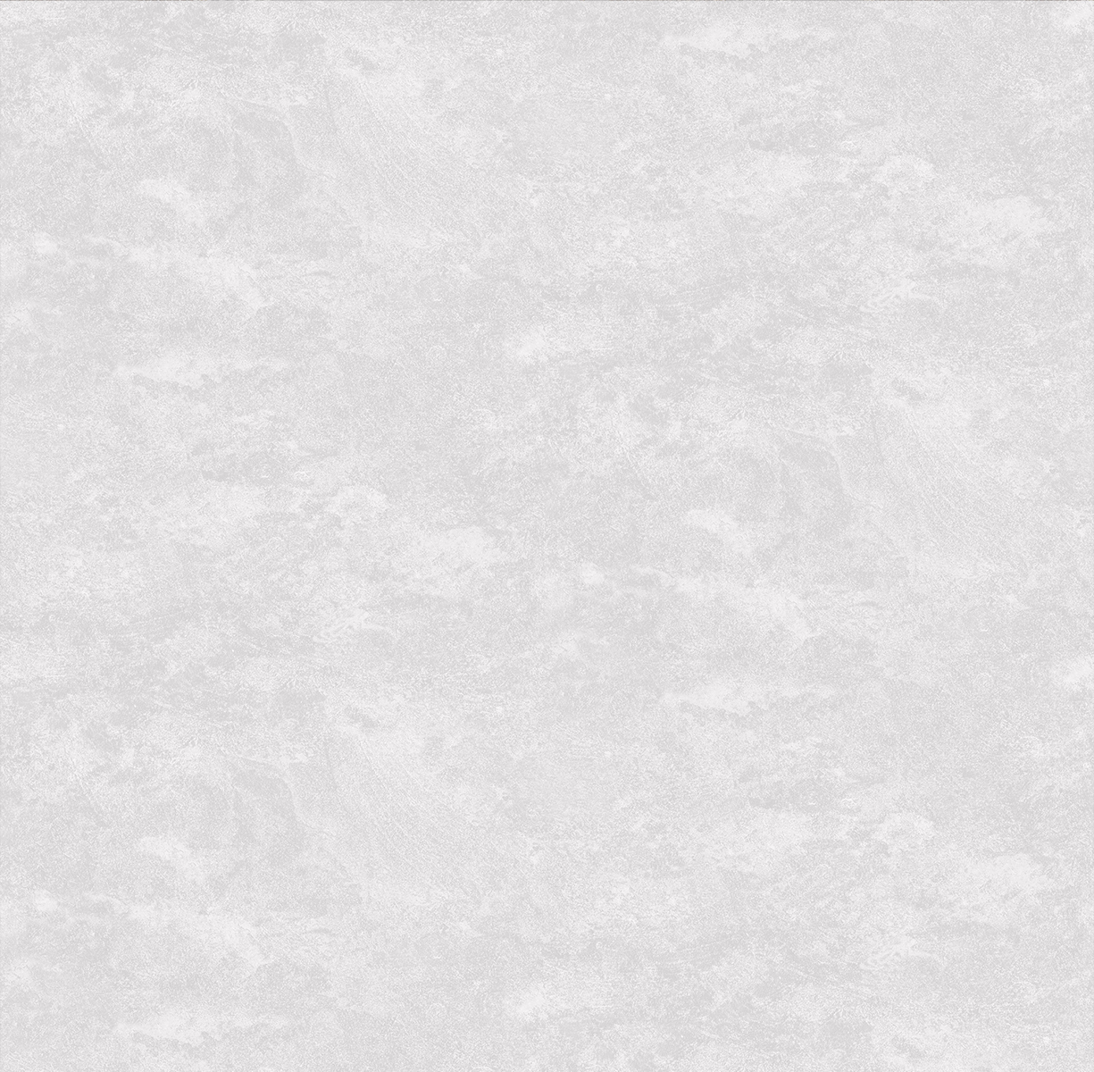 287105 Обои флизелиновые JUNGLE, фон серый 1,06х10м