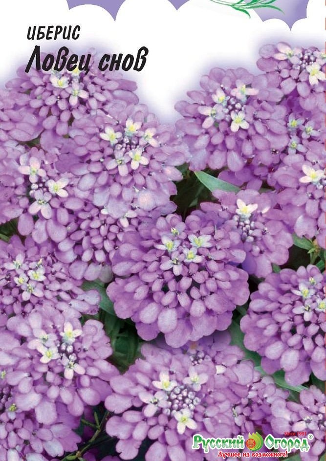 Изображение загружено