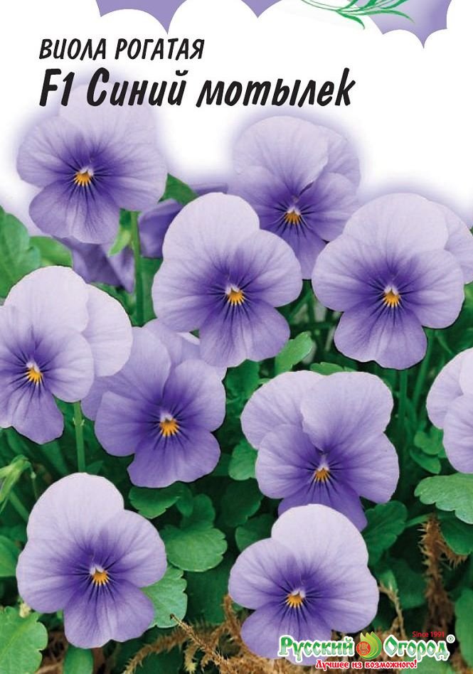 Изображение загружено