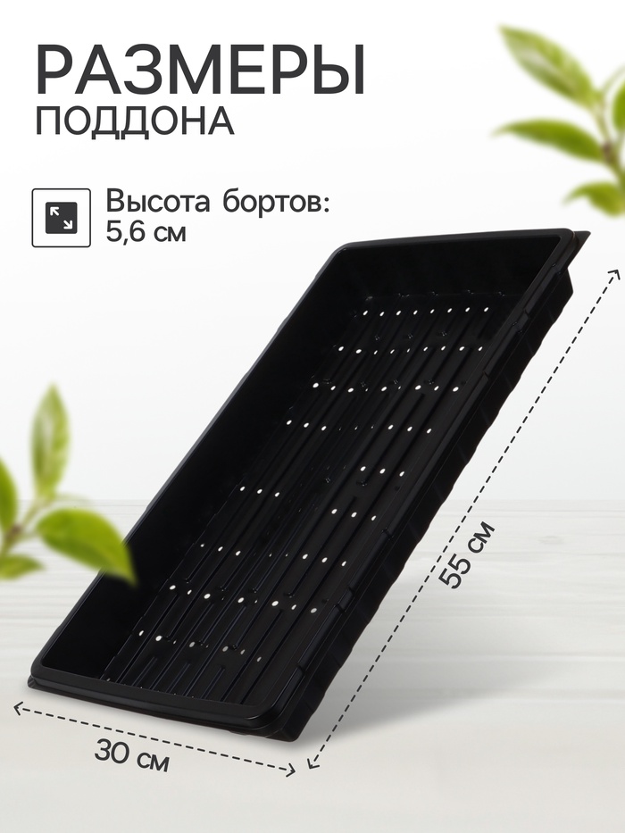 700 - 2026-02-25T141343.618