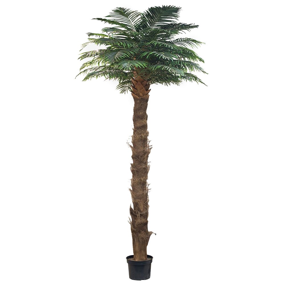 Изображение загружено