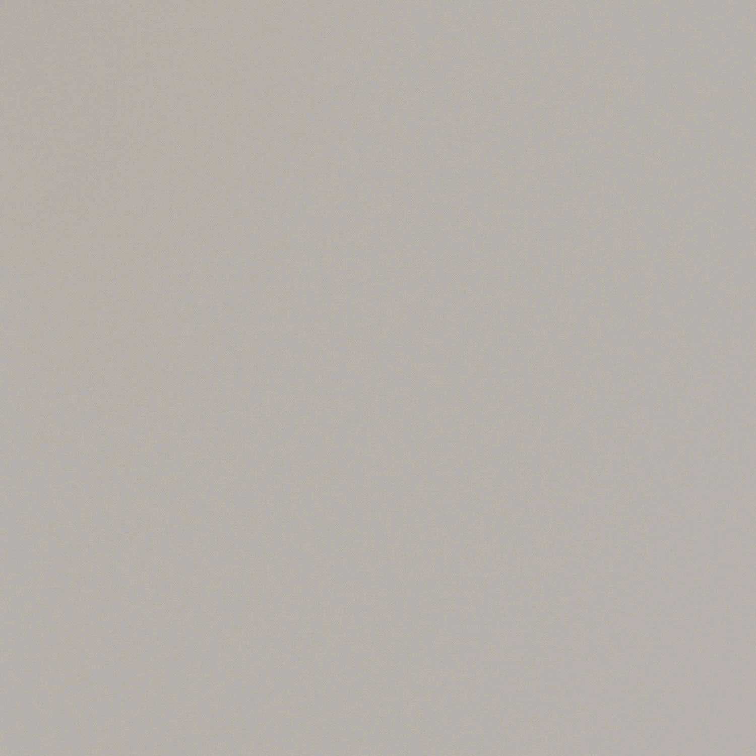 54383-10 Обои флизелиновые Spectrum PRO, фон серый 1,06х10м