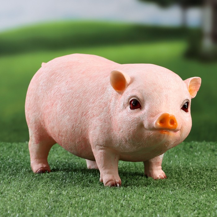 Изображение загружено