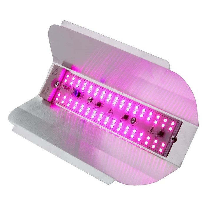 700 - 2026-02-04T165715.596