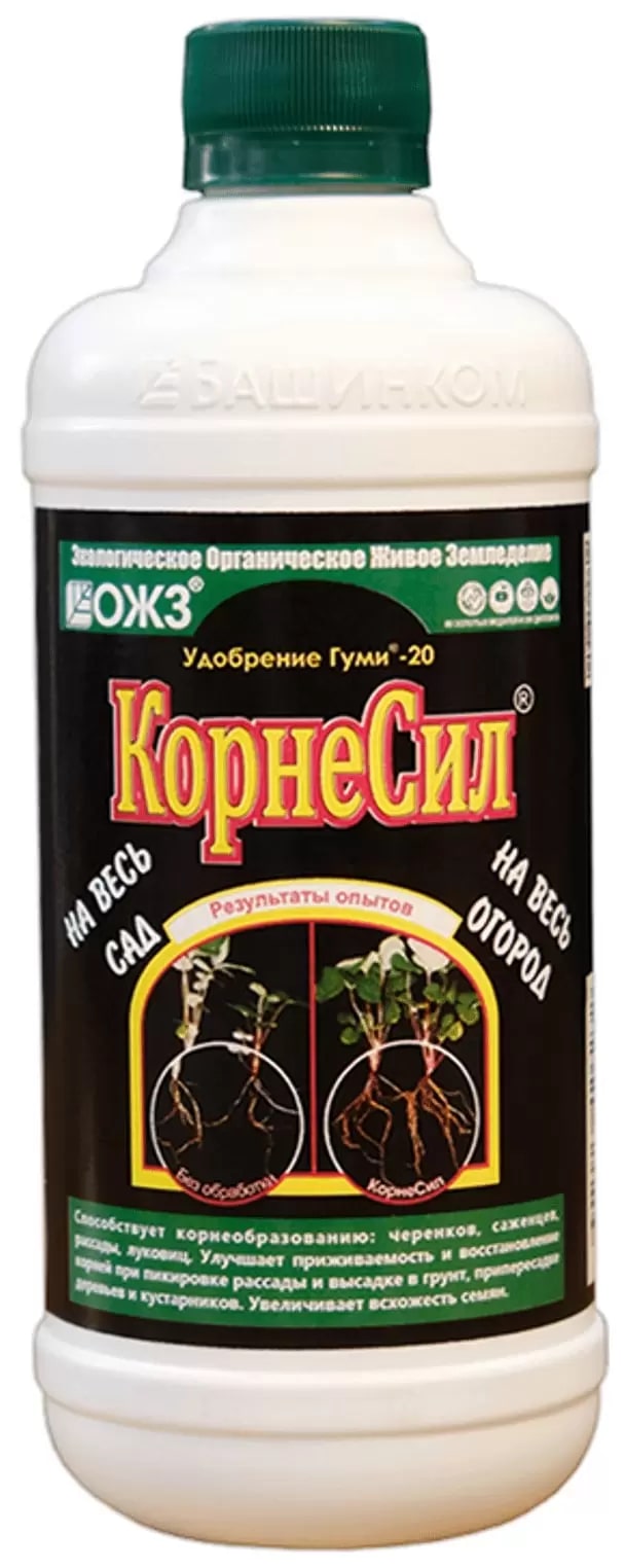 Изображение загружено