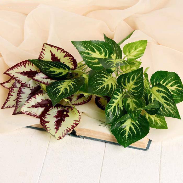 Изображение загружено