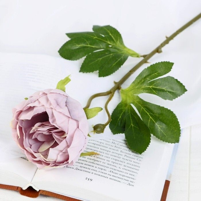 Изображение загружено