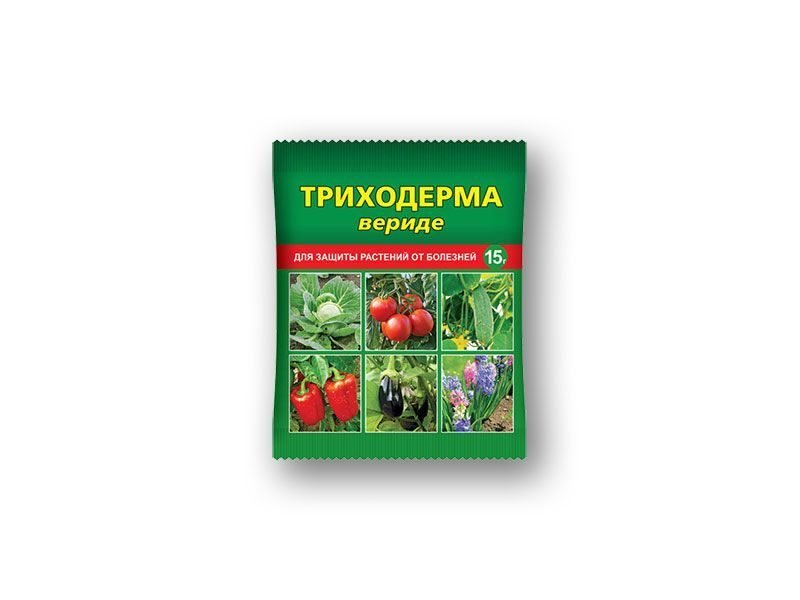 Изображение загружено