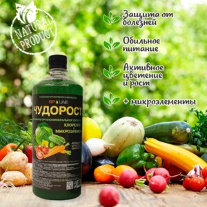 Изображение загружено