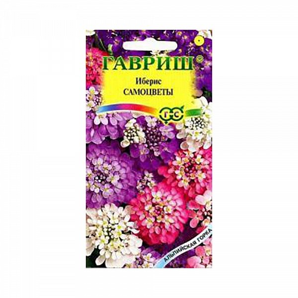 Изображение загружено