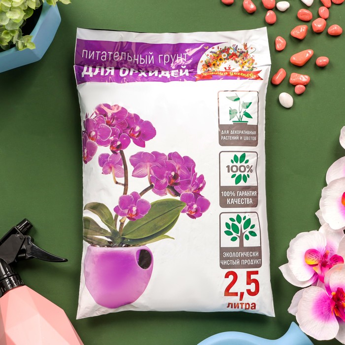 700 - 2025-02-06T150651.314