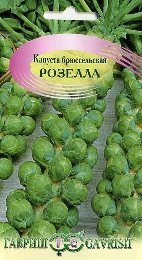 Изображение загружено