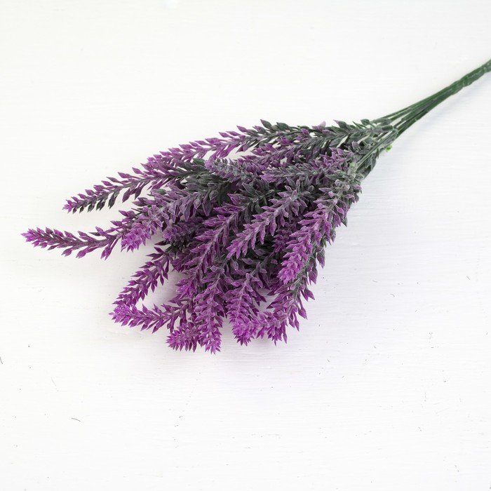 Изображение загружено