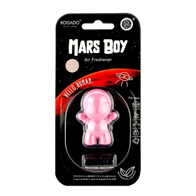 Ароматизатор полимерный Kogado Mars Boy на кондиционер Rich Flora (Цветы и фрукты)НМ