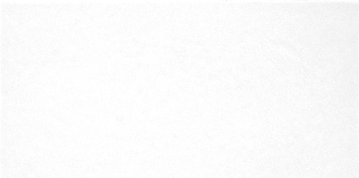 Плитка облицовочная Monocolor 249*500*8,5 цвет: белый/(11 шт в уп/73,98 м в пал)