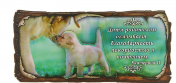 Магнит " Благодарность родителям", 