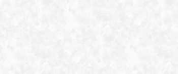 Обои флизелиновые "Kamila", фон св-серый 1,06х10 м.  