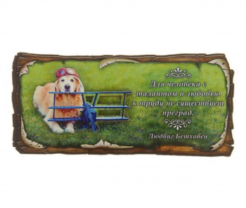 Магнит "Нет преград"