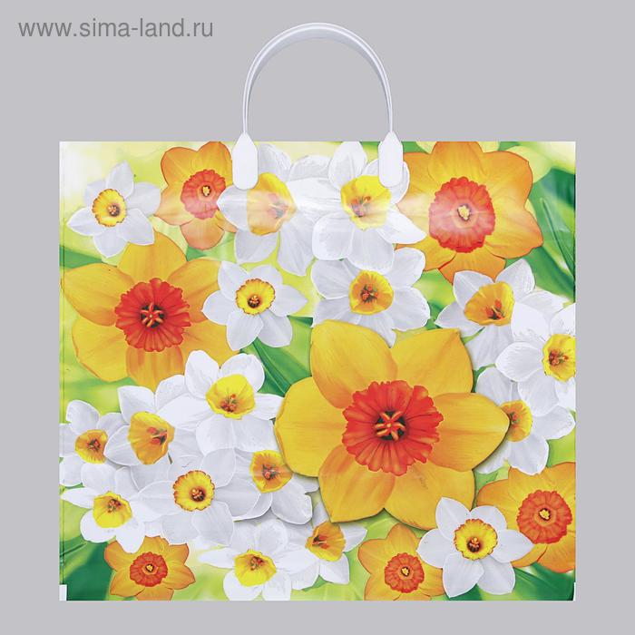 Изображение загружено