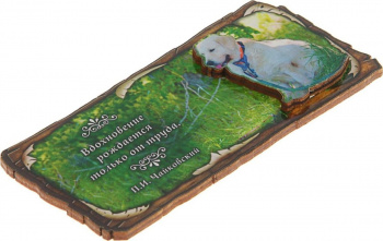 Магнит "Вдохновение от труда", символ 2018   