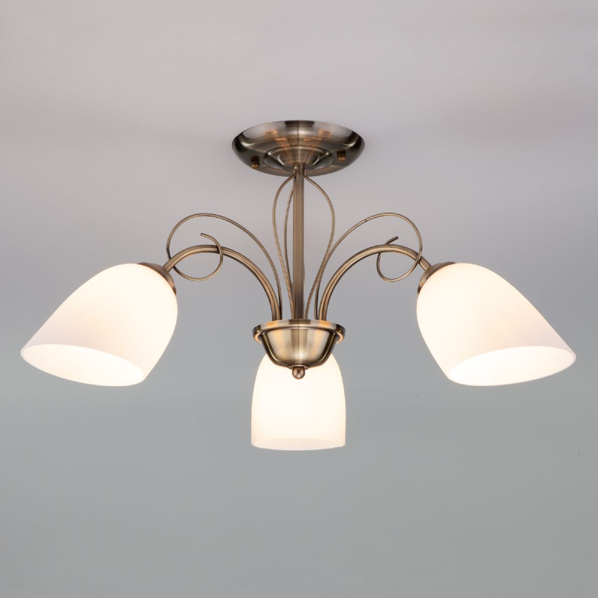 Изображение загружено