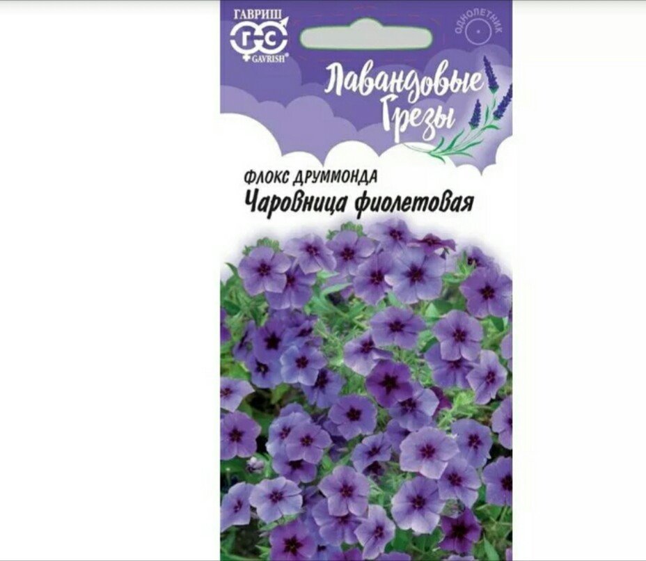 Изображение загружено