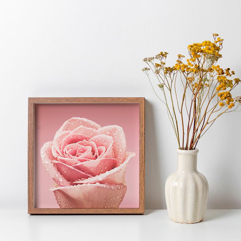 ПР-029 Постер в раме Утренняя роза, размер 350х350