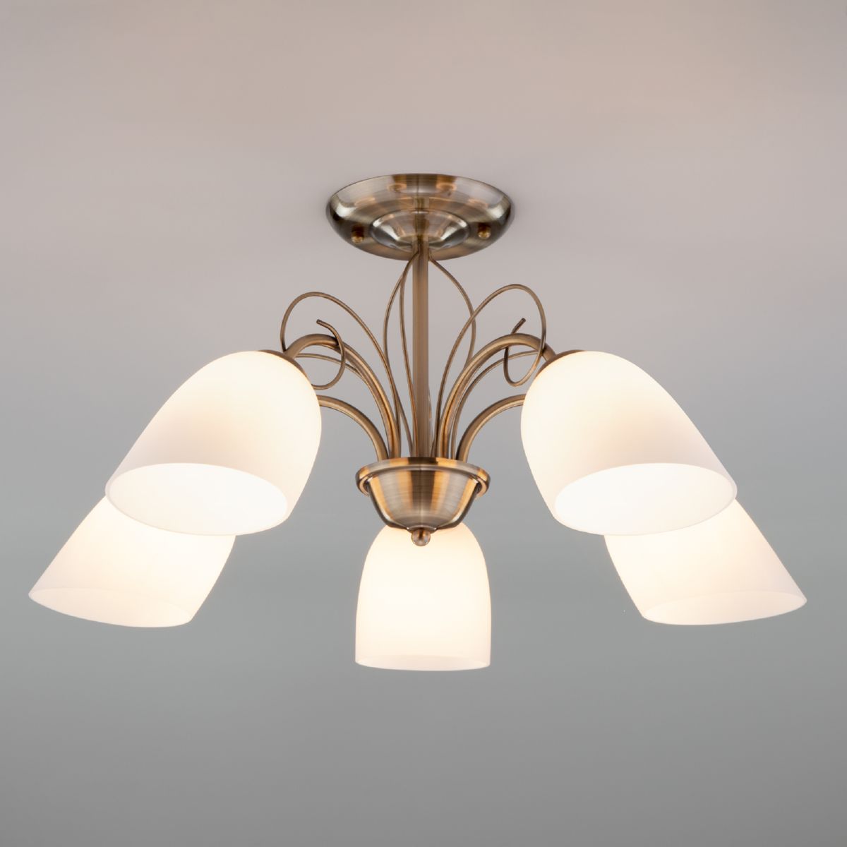 Изображение загружено