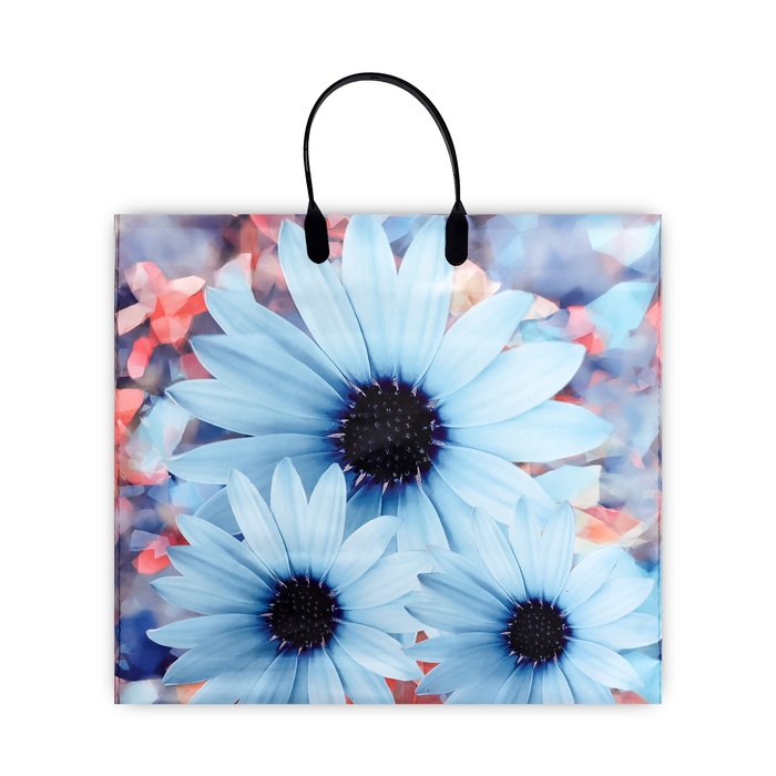 Изображение загружено